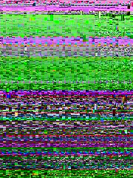 Snapshot of arabsam23 chatting on 02-11-26, 04:51 arabsam23 online show from 02-11-26, 04:51