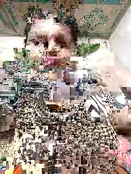 Snapshot of Payel_50 chatting on 05-25-26, 04:28 Payel 50 online show from 05-25-26, 04:28