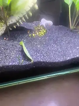 saumon3022 online show from 02-08-26, 09:18