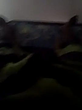 ceyloanboy online show from 05-19-26, 01:56