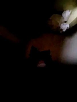 Vizgeboys online show from 10-16-25, 12:52