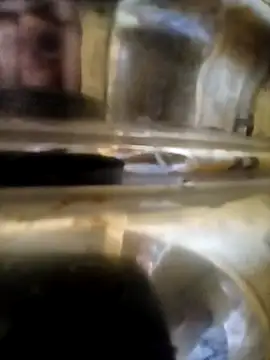 Vizgeboys online show from 10-06-25, 09:43