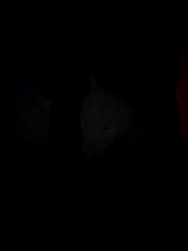 Chathutharu online show from 02-20-26, 10:01