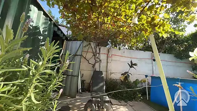 feeelipe2007 online show from 03-27-26, 02:07