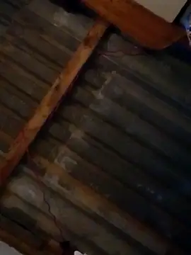 Snapshot of LUISSLEONN0958 chatting on 09-25-25, 09:04 LUISSLEONN0958 online show from 09-25-25, 09:04