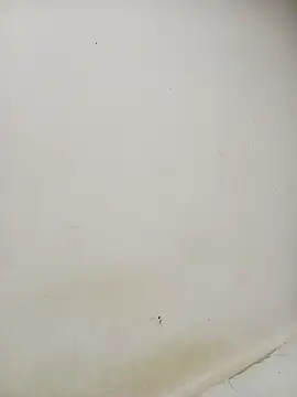 Snapshot of Dani_34velan chatting on 09-17-25, 04:58 Dani 34velan online show from 09-17-25, 04:58