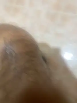 Binuthomas online show from 11-24-25, 05:02