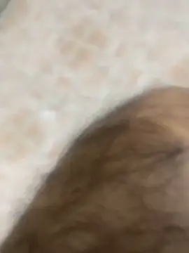 Binuthomas online show from 11-25-25, 06:08