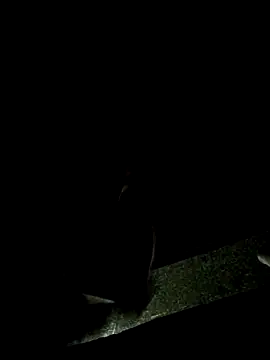 Lawrence067 online show from 11-04-25, 01:31