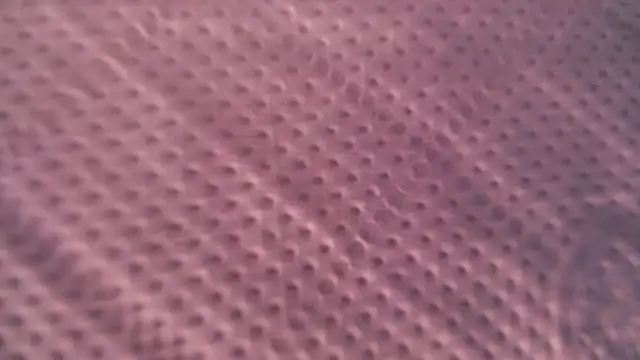 Liz Hu online show from 10-09-25, 12:49