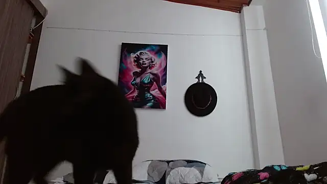 Crystal Star  online show from 03-07-26, 12:54