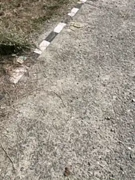 Desiandaj online show from 11-30-25, 07:53