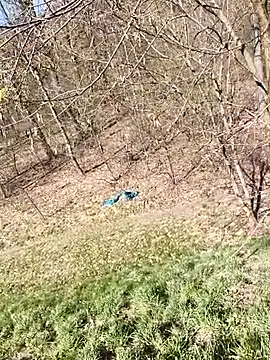 kot766 online show from 04-07-26, 11:23