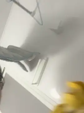 hiromu53 online show from 12-05-25, 12:15