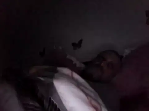 Hisnimin online show from 02-18-26, 03:59