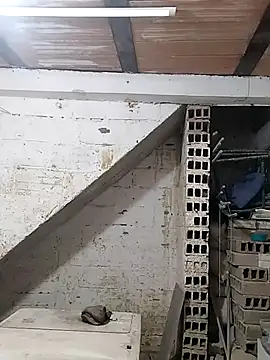 hoteder online show from 10-07-25, 11:55