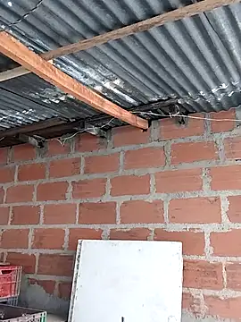 hoteder online show from 12-02-25, 12:51