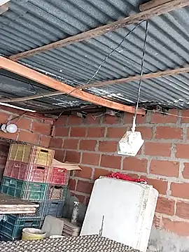 hoteder online show from 12-04-25, 12:48