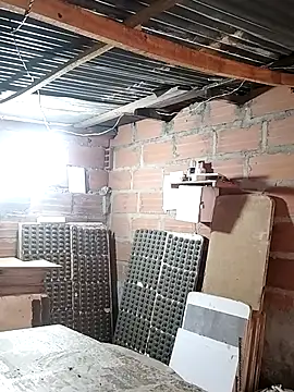 hoteder online show from 01-14-26, 12:31