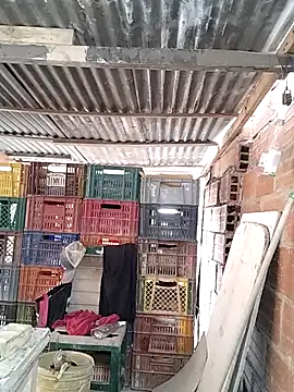 hoteder online show from 02-10-26, 12:37