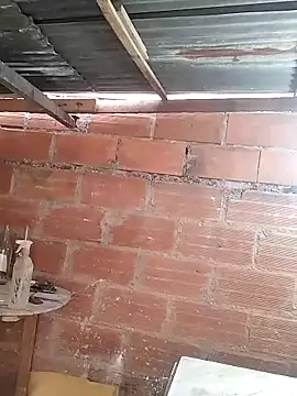 hoteder online show from 03-23-26, 12:27