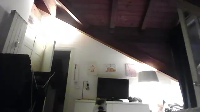 LadySophia03 online show from 12-01-25, 04:30