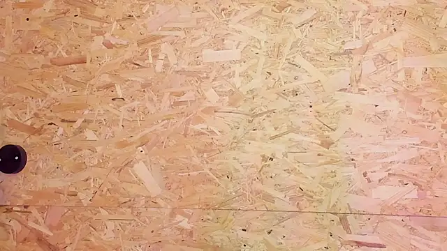 santiblack7 online show from 10-23-25, 07:34