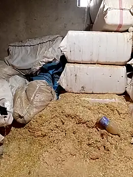 ezgi2545 online show from 04-02-26, 10:44