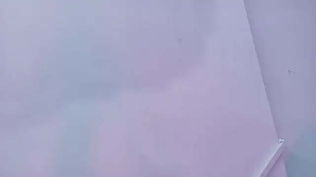 Lizbeth Rouse online show from 11-29-25, 01:44