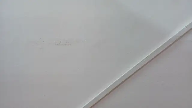 Lizbeth Rouse online show from 10-26-25, 01:00