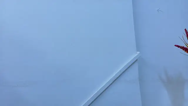 Lizbeth Rouse online show from 11-06-25, 11:25