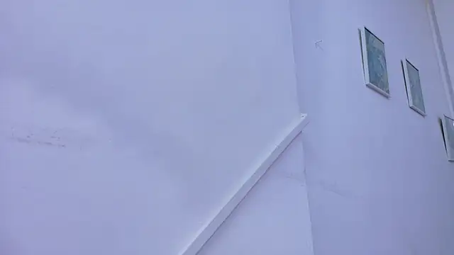 Lizbeth Rouse online show from 11-08-25, 11:14