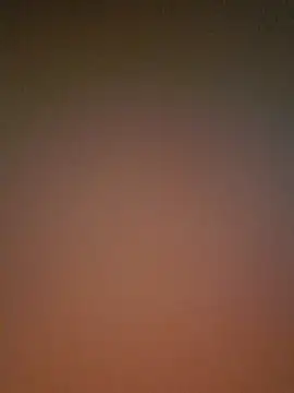 Lizbeth Rouse online show from 12-03-25, 11:42