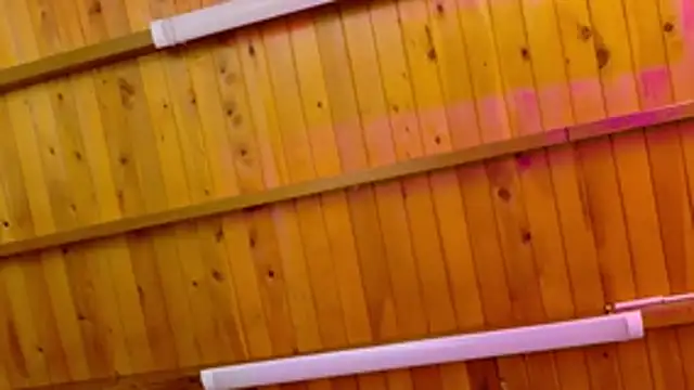 Lizbeth Rouse online show from 01-12-26, 10:22