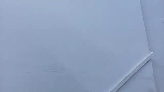 Lizbeth Rouse online show from 11-02-25, 11:37