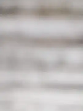 Snapshot of SweetSun69 chatting on 02-22-26, 11:23 SweetSun69 online show from 02-22-26, 11:23