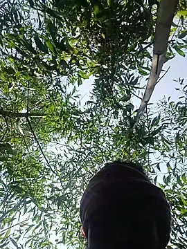 96Rohon online show from 03-27-26, 06:22