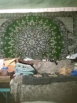 CrystalLime6411 online show from 11-28-25, 01:44