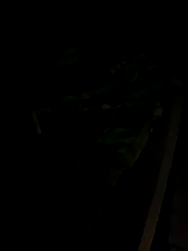 sr dias online show from 11-13-25, 08:51