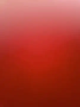  davidino online show from 06-05-26, 12:22