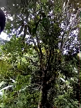 moreno25centimetro online show from 02-04-26, 02:01