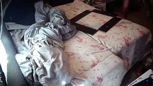 PremiumKitty online show from 10-16-25, 08:50