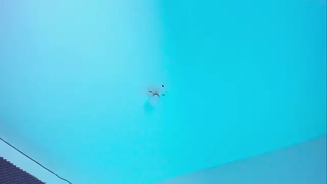 Ellope  online show from 11-14-25, 10:02