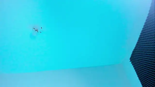 Ellope  online show from 10-22-25, 11:03