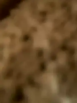 PhanHaa online show from 11-18-25, 01:54