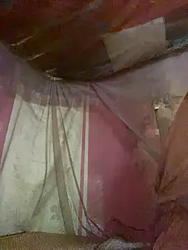 PhanHaa online show from 10-07-25, 03:29