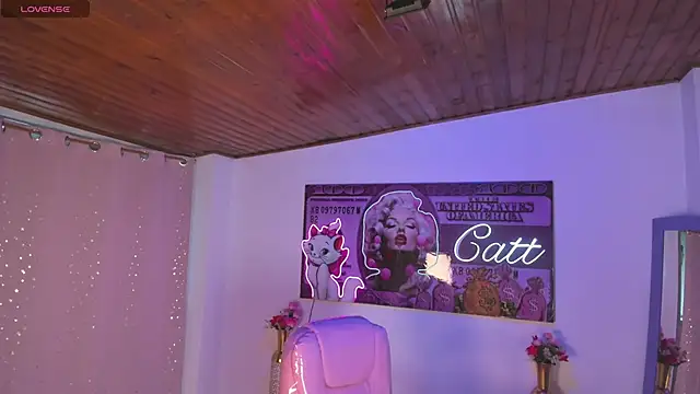 catt monroe online show from 06-11-26, 02:25