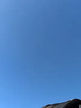 Ole Plus online show from 02-12-26, 11:43