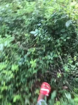 kavi1q1 online show from 01-17-26, 04:38