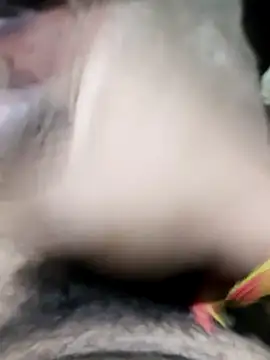 modelmanr online show from 04-08-26, 06:31